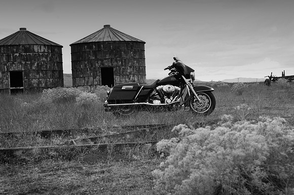 Harley Photos