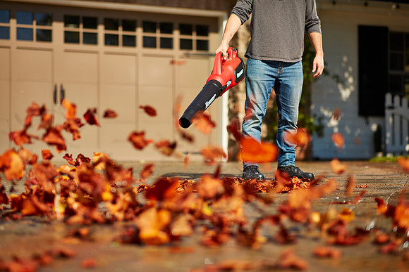 Fall leaf blowing